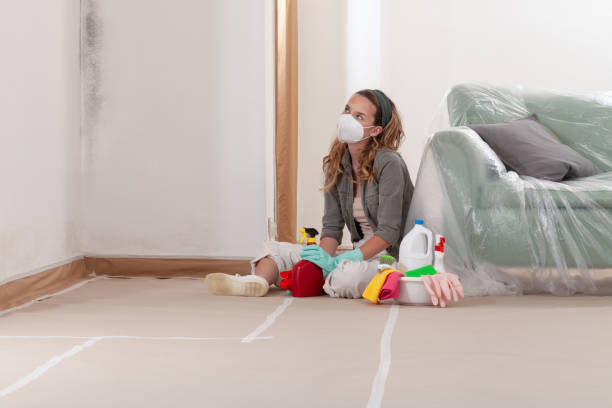 Reliable Crawl Space Mold Removal contractor in Yacolt, WA by WQB Mold Removal